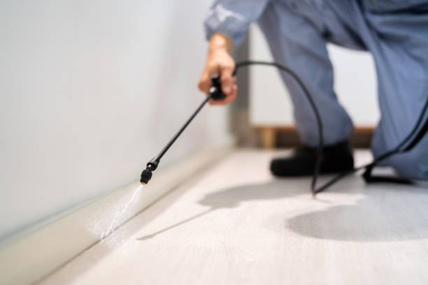 Licensed Mosquito Control service in Northlake, TX - Show Me Pest Control