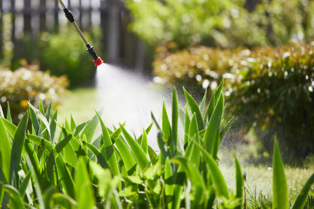 24/7 Emergency Mosquito Control experts in Northlake, TX