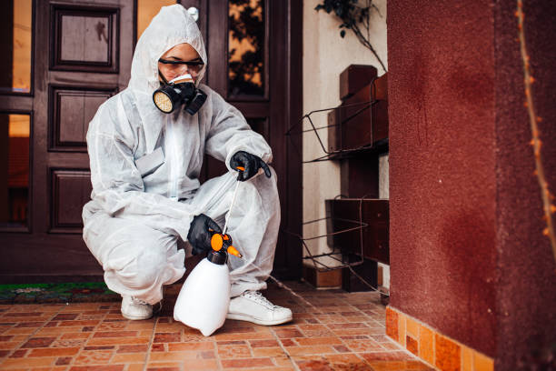 Reliable Mosquito Control contractor in Northlake, TX by Show Me Pest Control